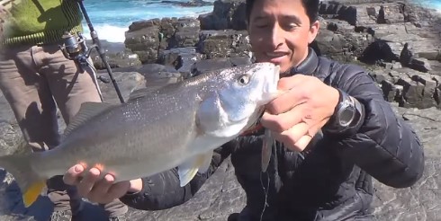 ChispaBaits en Acción