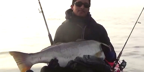 Corvina de 19 Kilos